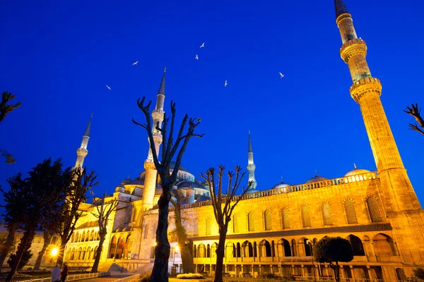 Blaue Moschee — Stockfoto