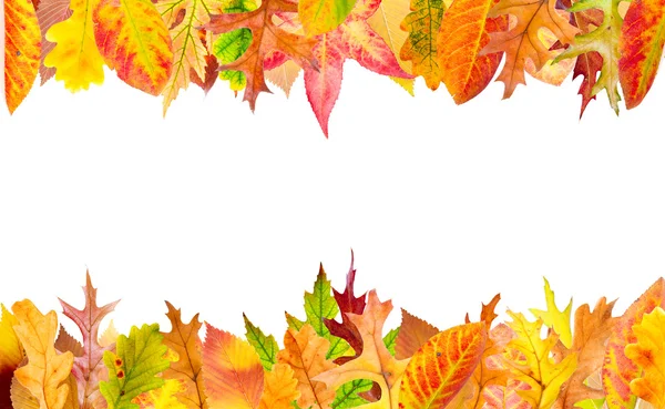 Autumn Frame — Stock Photo, Image