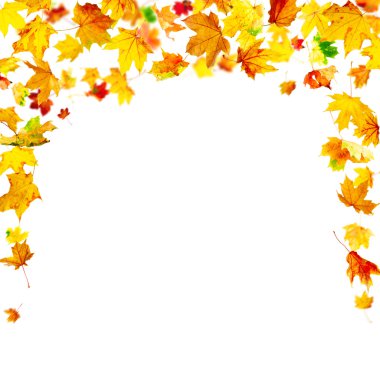 Sonbahar yaprakları çerçevesi
