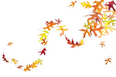 girdap sonbahar yaprakları