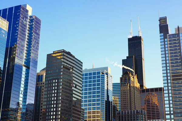 Chicago's urban skyscrapers, IL, USA