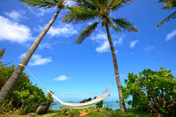 Paraíso tropical — Foto de Stock