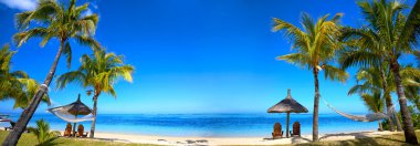Tropical beach panorama clipart