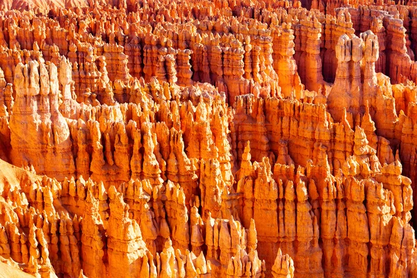 Bryce Canyon. — Fotografia de Stock