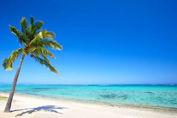 Paradise beach — Stock Photo, Image