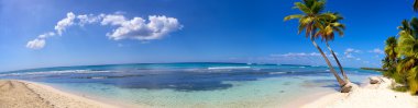 Paradise beach panorama