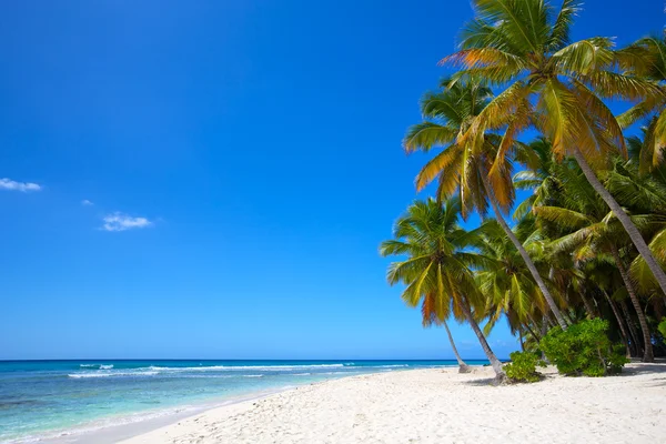 Spiaggia di sabbia tropicale — Foto Stock