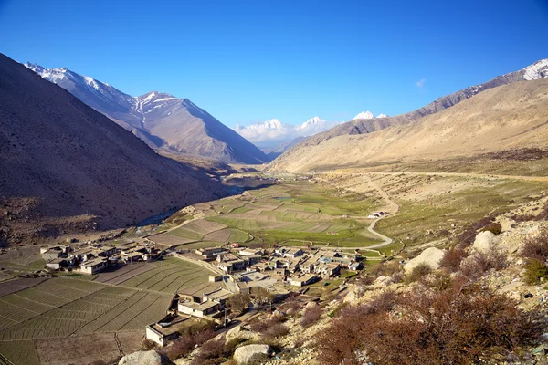 Small village in Tibet — Stock Photo, Image