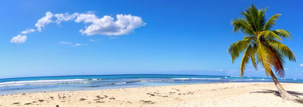Panorama da praia de areia — Fotografia de Stock