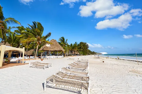 Praia Areia Tropical Com Espreguiçadeiras Zanzibar — Fotografia de Stock