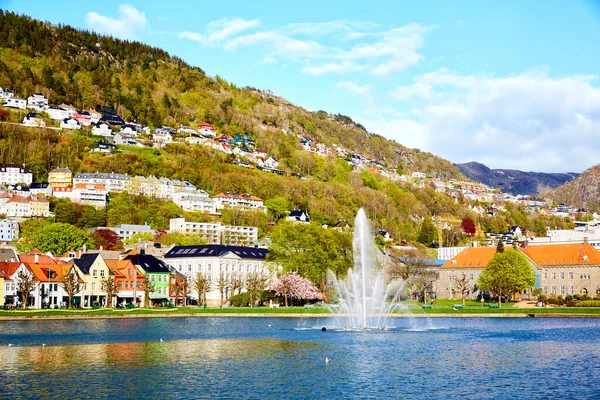 Lungegardsvannet Gölü Bergen Norveç Merkezinde Çeşme — Stok fotoğraf