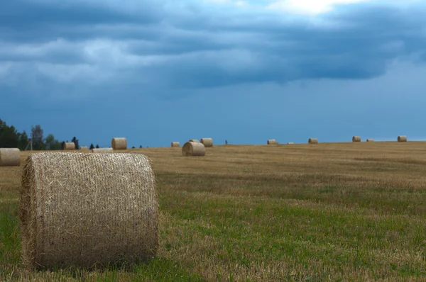 Heuhaufen auf dem Feld — Stockfoto