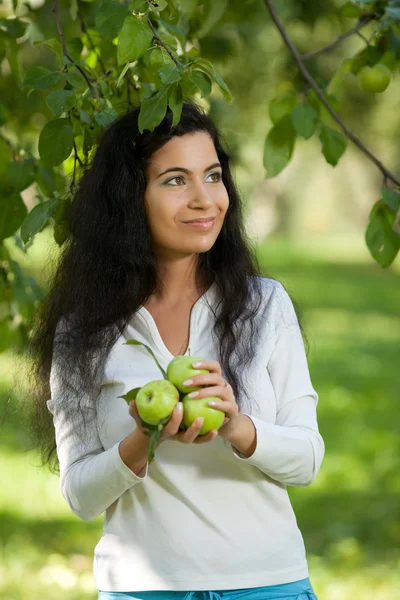 Девушка держит яблоки — стоковое фото