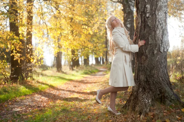 A menina guarda para uma árvore — Fotografia de Stock
