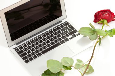 Gümüş laptop ve kırmızı gül