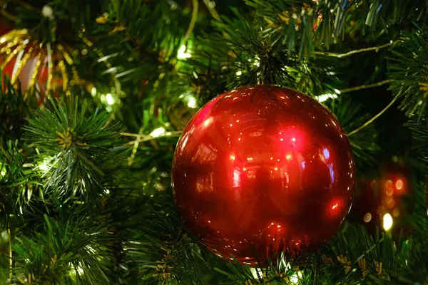 Schöne Rote Weihnachtskugel Auf Einem Fichtenzweig Aus Nächster Nähe — Stockfoto