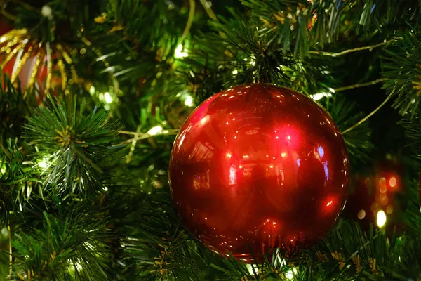 Красивый Красный Рождественский Бал Еловой Ветке Близко Стоковое Изображение