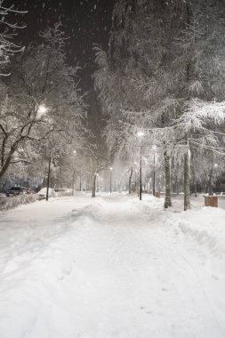 Karla kaplı bir parkta, ağaçların ve fenerlerin arasında kış yolu. 