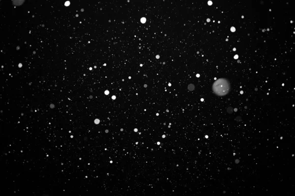 Gece Gökyüzünün Siyah Arka Planında Güzel Uçan Ağır Kar — Stok fotoğraf