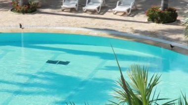 Yüzme Havuzu. tatil kavramı.