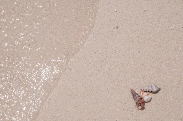 Strand achtergrond — Stockfoto