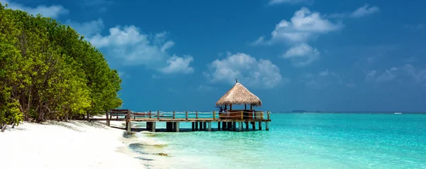 Tropical Beach — Stock Photo, Image