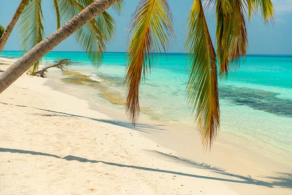 Tropical Beach — Stock Photo, Image