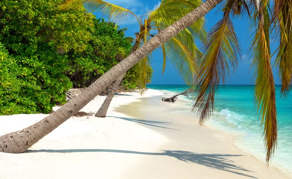 Spiaggia tropicale sulle Maldive — Foto Stock