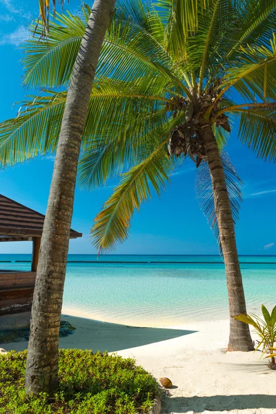 Verano en la playa — Foto de Stock