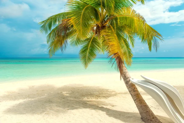 Spiaggia tropicale sulle Maldive — Foto Stock