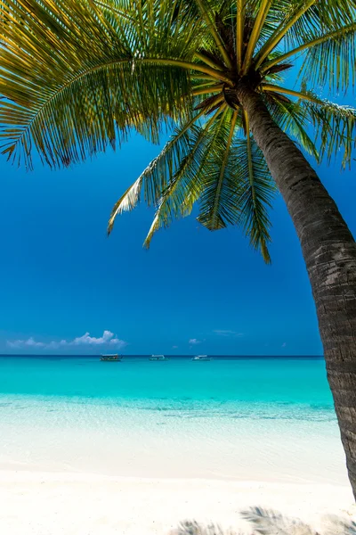 Spiaggia tropicale — Foto Stock