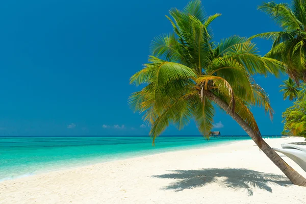 Summertime at the beach — Stock Photo, Image