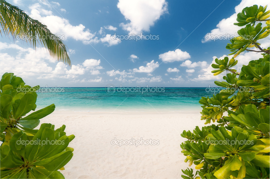 untouched tropical beach