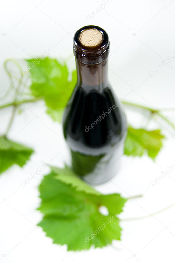 bottle of wine with wine leafs on white background