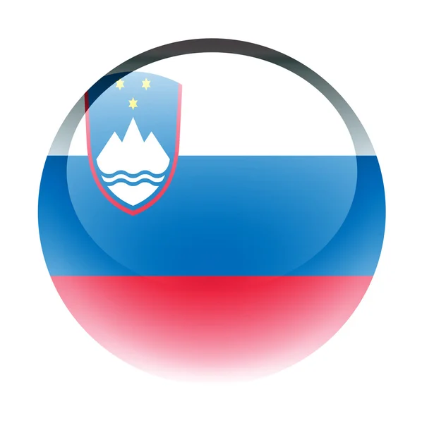 Aqua Country Button Slovenia — Stock Photo, Image