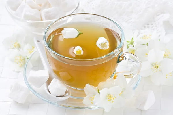 Cup jasmin tea — Stock Photo, Image