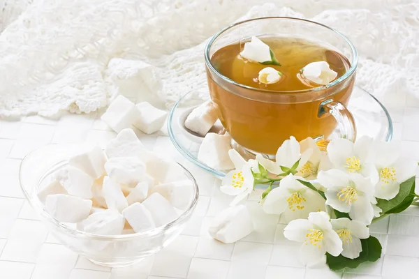 Cup jasmin tea — Stock Photo, Image