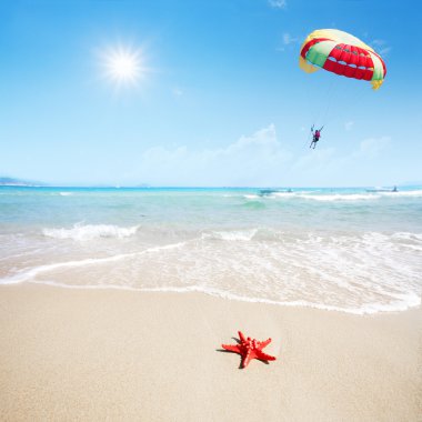 plaj ve paraşüt gök kırmızı deniz yıldızı kadar yakın