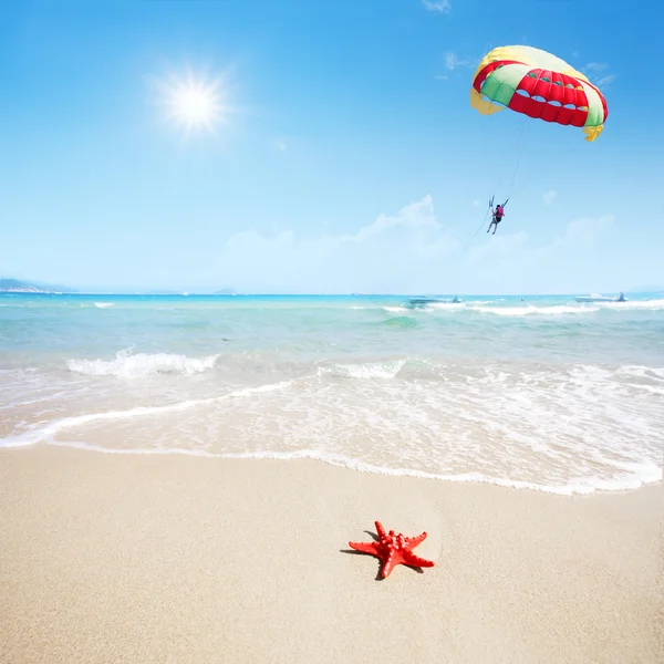 Cerca de estrellas de mar rojas en la playa y paracaídas en el cielo —  Fotos de Stock