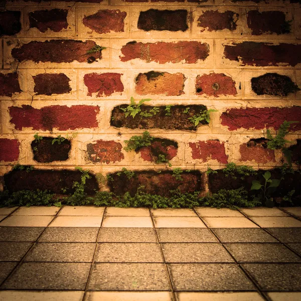 Brick wall — Stock Photo, Image