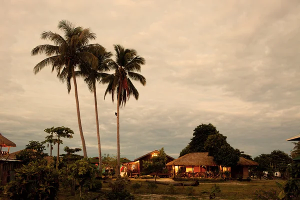 Palmy v malé vesnici — Stock fotografie