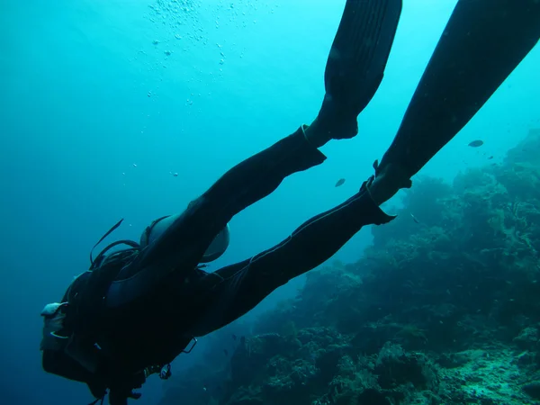 Dykning i havet — Stockfoto