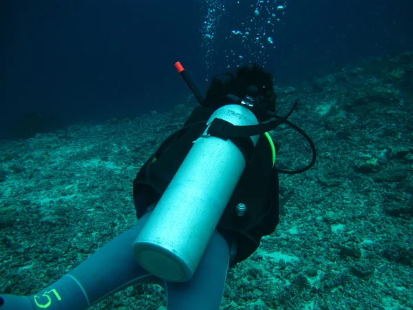 Potápění v moři — Stock fotografie