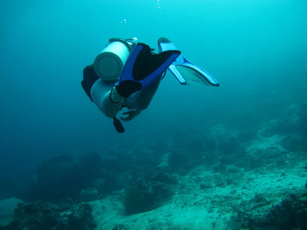 Buceo en el mar — Foto de Stock