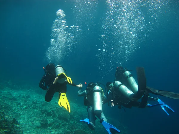 Buceo en el mar — Foto de Stock