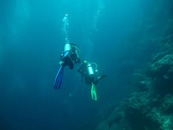 Diving in sea — Stock Photo, Image