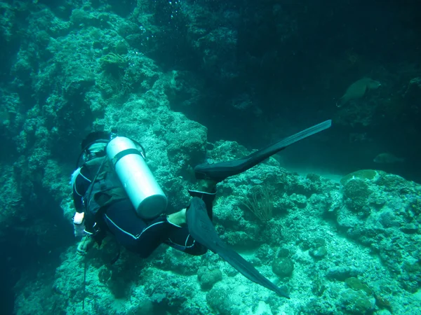 Diving in sea — Stock Photo, Image