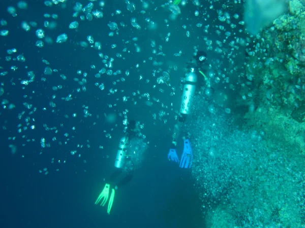 바다에서 다이빙 — 스톡 사진