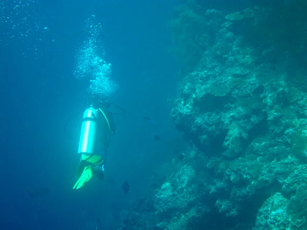 Diving in sea — Stock Photo, Image