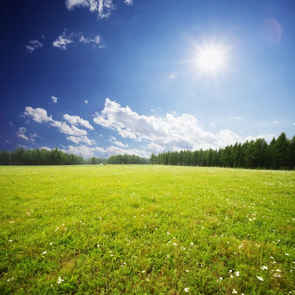 Campo verde e nuvens brancas — Fotografia de Stock